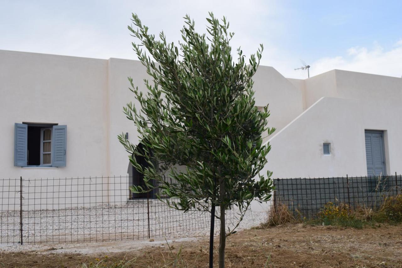 Ktima Panagia Apartment Glinado Naxos ภายนอก รูปภาพ